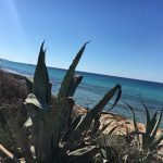 #PlayaMitjorn #Formentera #Beach #Strand